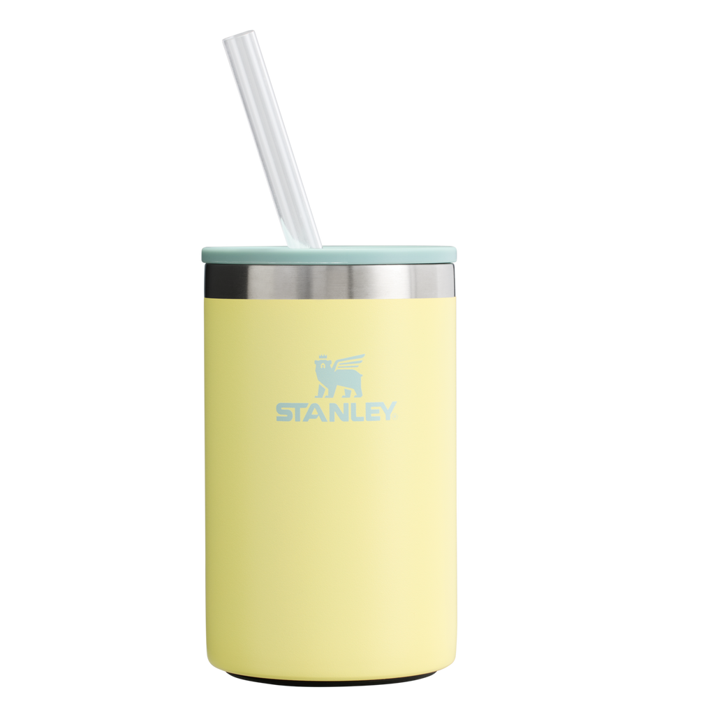 The Everyday Can Cooler Cup | 10 OZ - Stanley Create