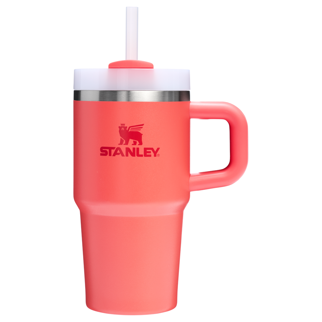 The Quencher H2.O FlowState™ Tumbler with Handle | 20 OZ - Stanley Create