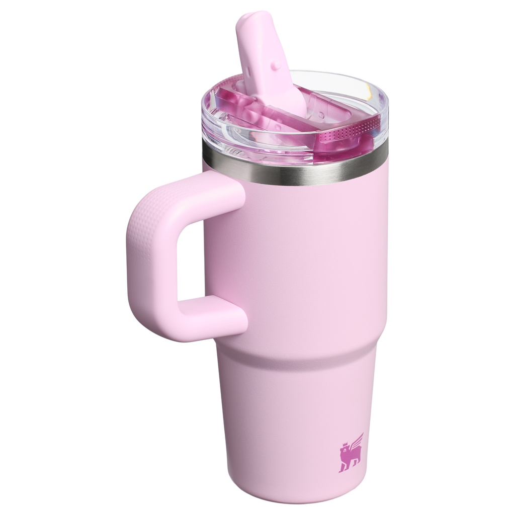 The Quencher ProTour Flip Straw Tumbler | 14 OZ - Stanley Create